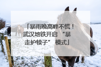 暴雨晚高峰不慌！武汉地铁开启 “暴走护犊子” 模式
